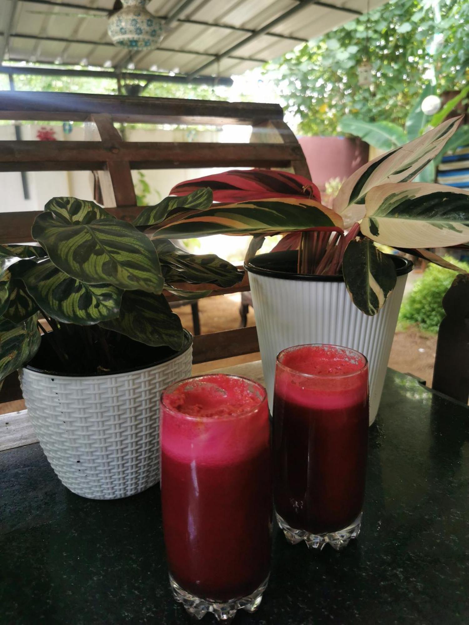 Jeehaa Homestay Alappuzha Екстериор снимка